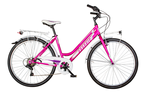 Graphique Velomarche 26 "