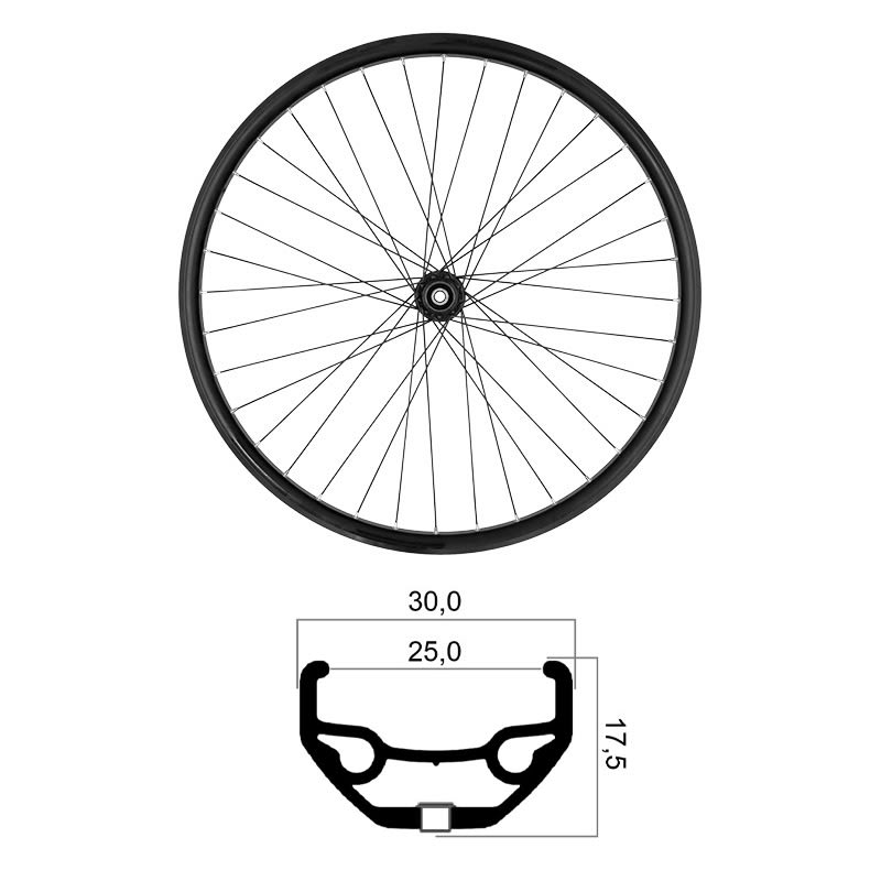 Front Wheel 29" x 25mm MTB Tubeless Ready Shimano 10/11/12v Disc