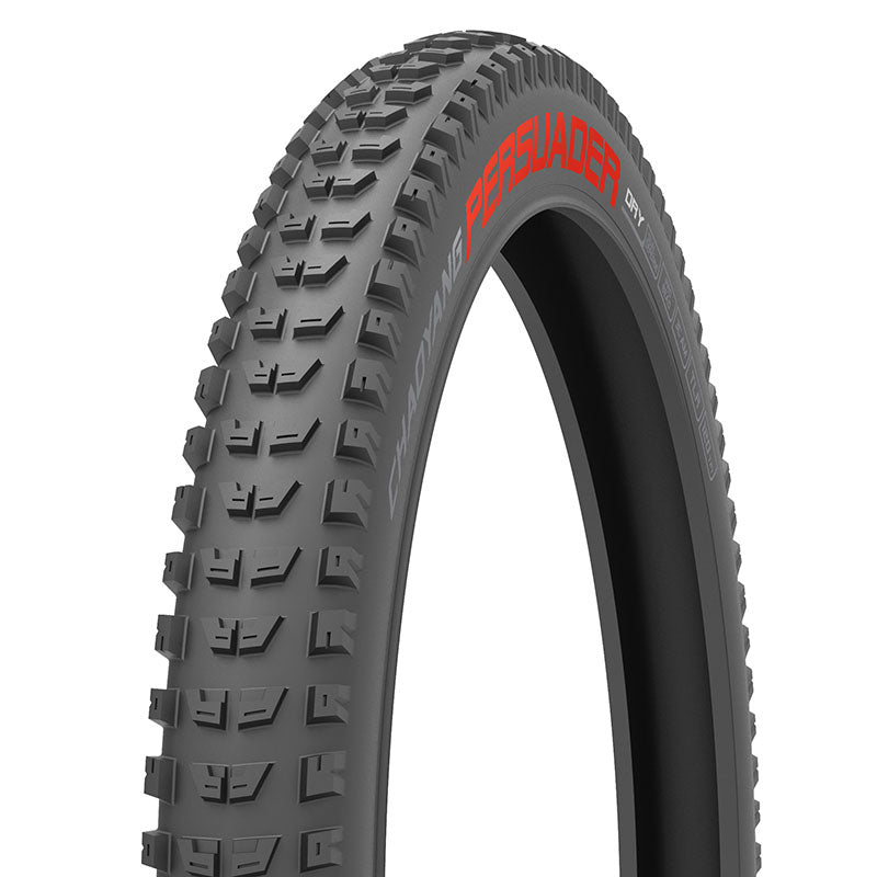 Pneu 29x2,6 PERSUADER DRY 60TPI Tubeless Ready BtoB Noir