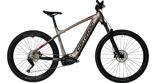 Corratec E-Power X-Lert Pro gent (24)