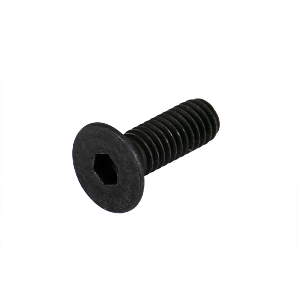 Bosch - Vis de fixation protection câble. Vis tête cylindrique Torx M4x10