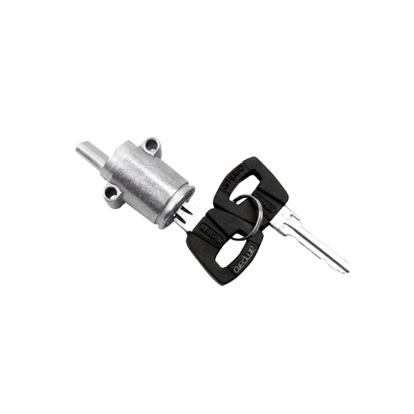 Bosch - Cylindre de serrure standard pour batterie BOSCH PowerTube (BDU2XX, BDU3XX, BDU4XX)