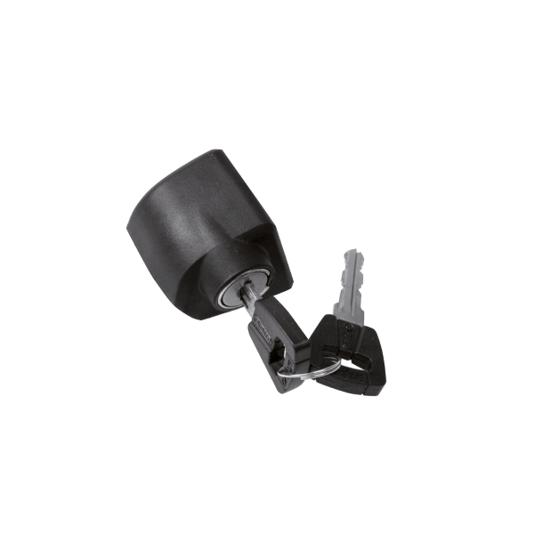 Bosch - Cylindre de serrure standard pour batterie dans le cadre, Classic+, noir Bosch Abus, contient cylindre et clés