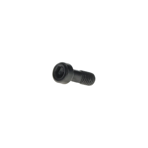 Bosch - Purion 400 screw
