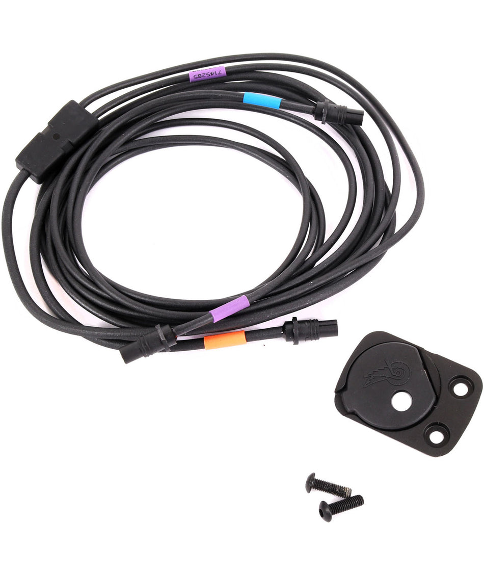 Campagnolo Wiring for Internal Frame Interface Assembly