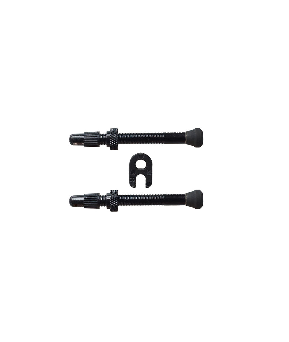 Fulcrum Off-Road/Road 2-Way Fit valve