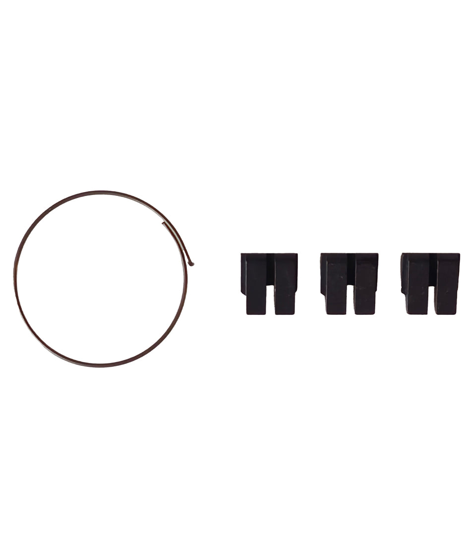 Fulcrum RL spring and pawls