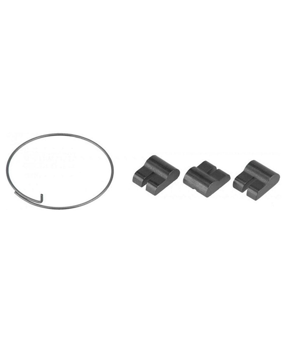 Fulcrum RL HG spring and pawls