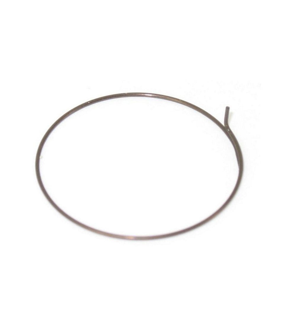 Fulcrum MTB pawl spring