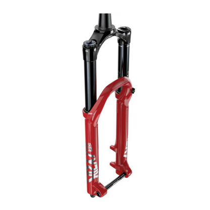 Rockshox am FS Lyrik Ultimate Fork 29