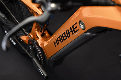 Haibike allmtn cf 6