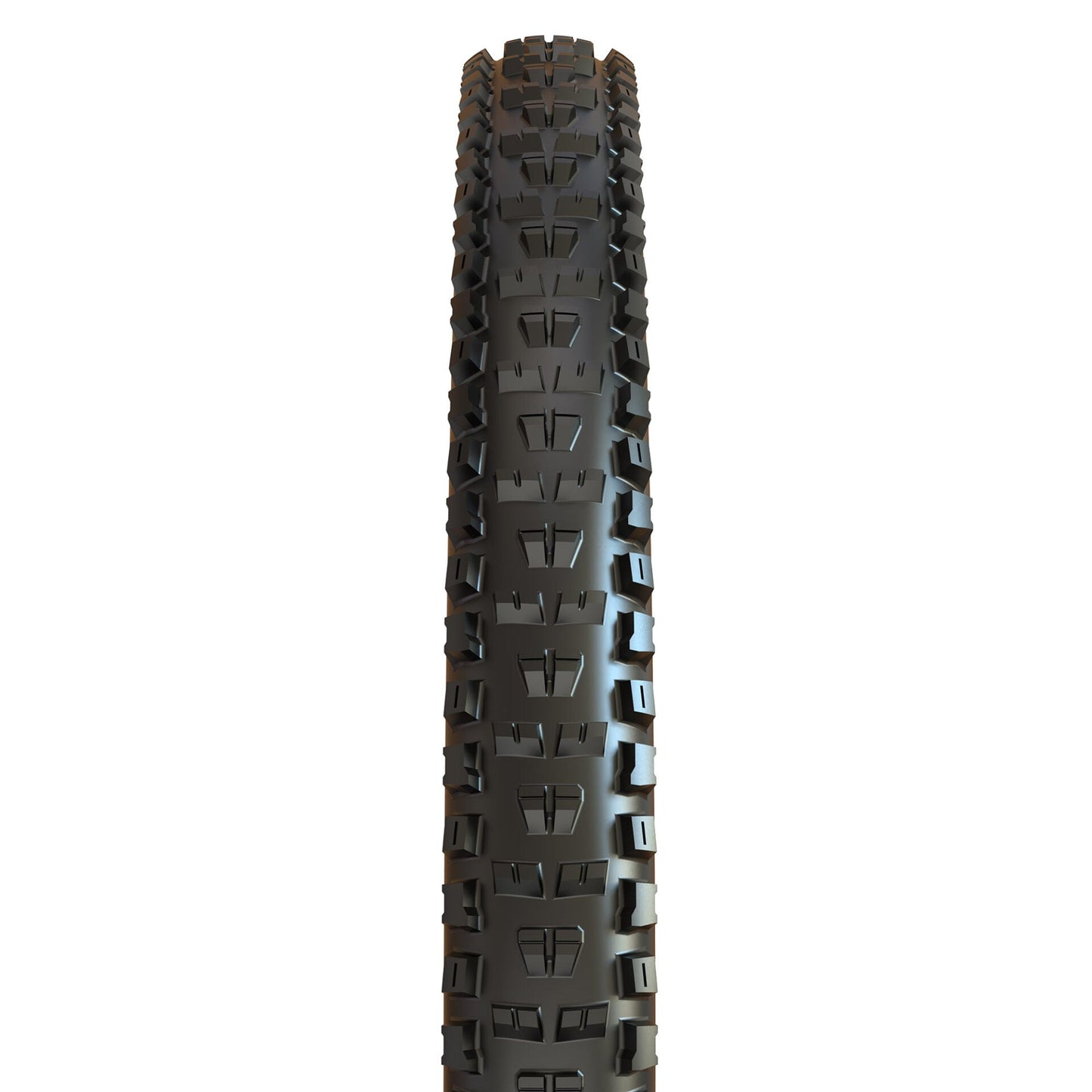 Maxxis avantplatement exo tailless prêt 29x2.40wt