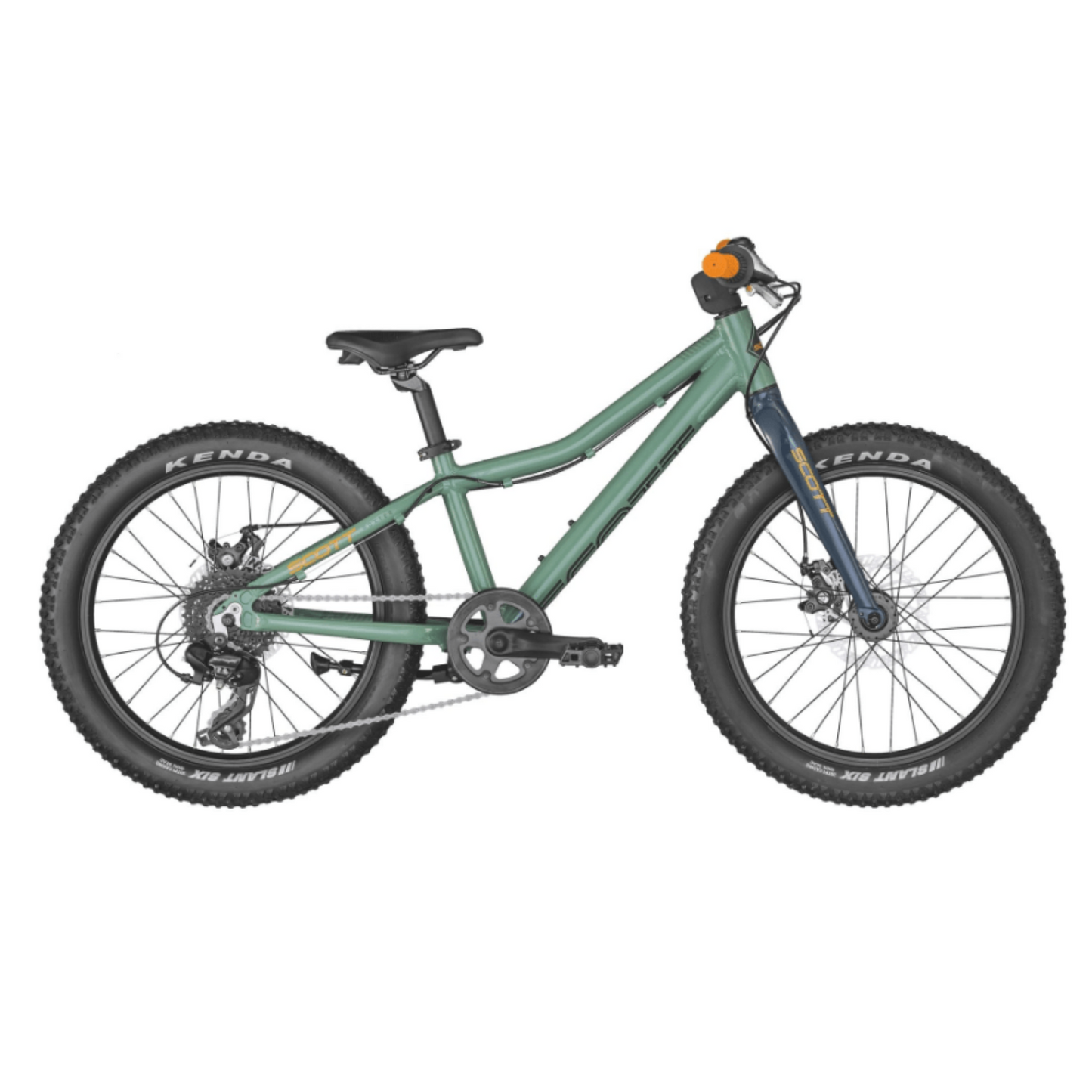 Scott Roxter 20 "Verde