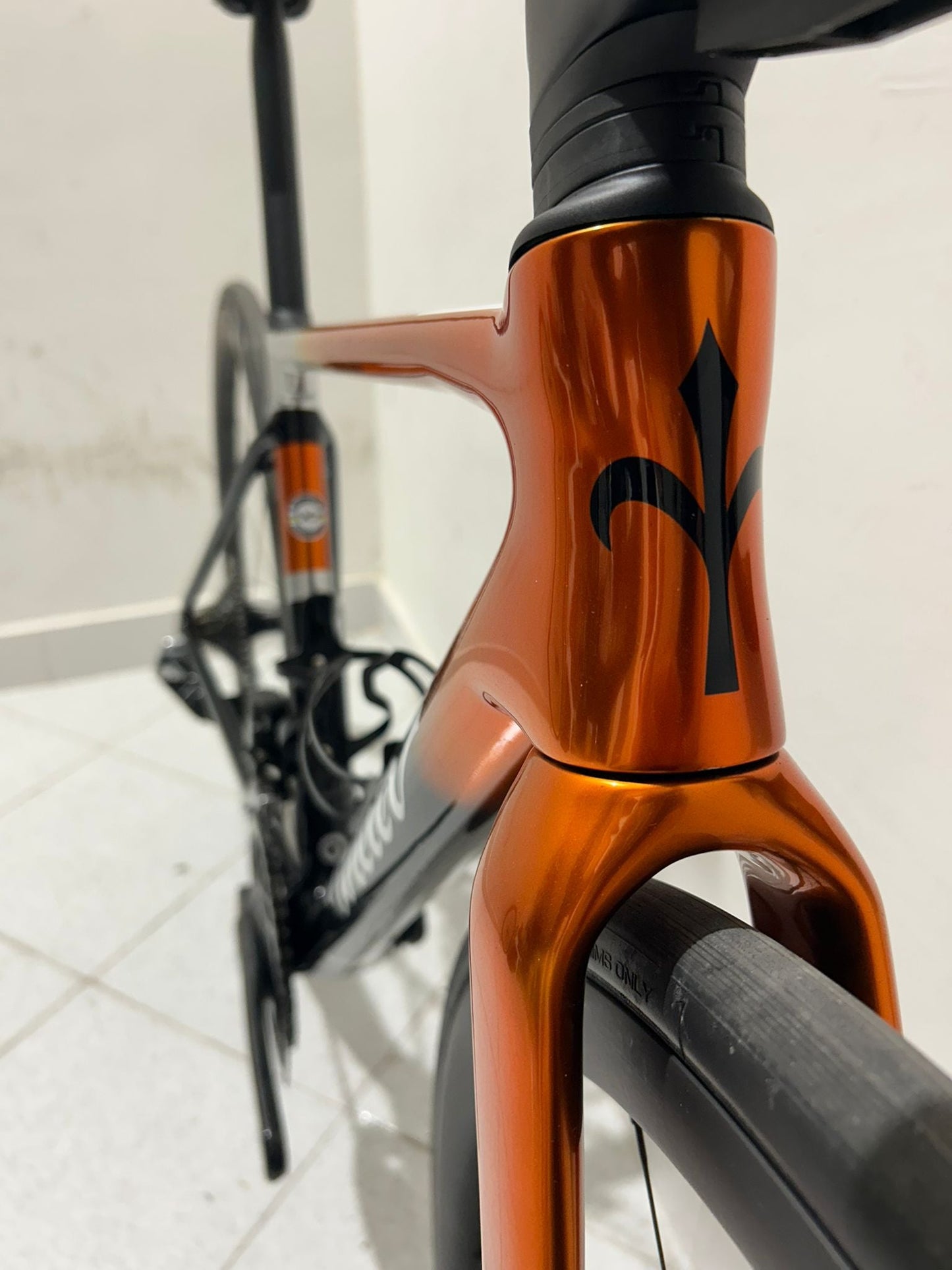 Taille de SLR de Wilier 0 XS - Utilisé