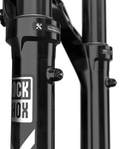 Rockshox am FS Lyrik Ultimate Fork 29