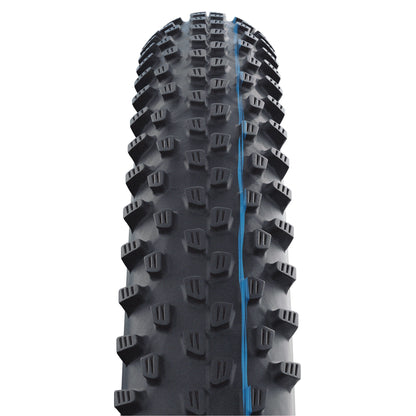 SCHWALBE RACING RAY 29X2.10